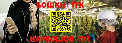бошки Дубна