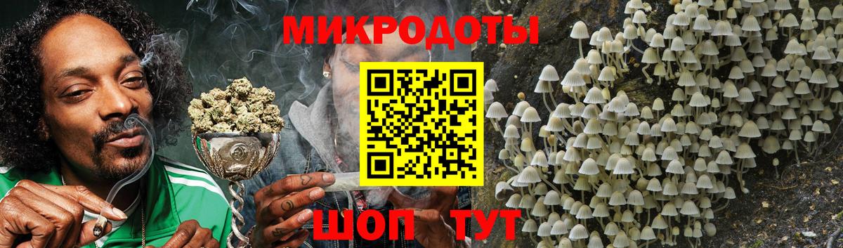 Лесосибирск  Псилоцибиновые грибы MAGIC MUSHROOMS  Вход с VPN 